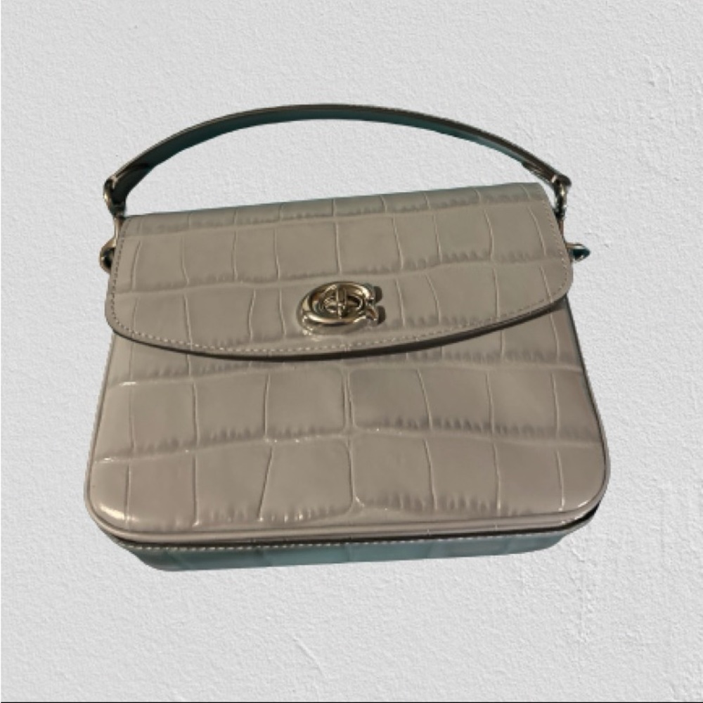 Coach Cassie Crossbody 19 in Grey Blue Croc